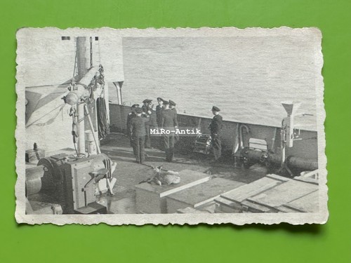 Foto frangifuori nestor - 21,